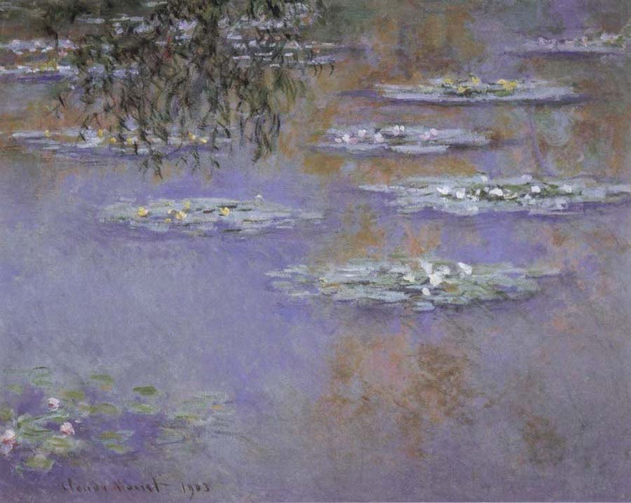 Waterlilies